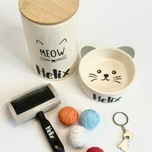 Cat box I